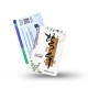 Chinese New Year 2025 EZ Link Card_02
